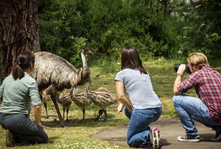 Worn Gundidj @ Tower Hill, Victoria © Tourism Australia