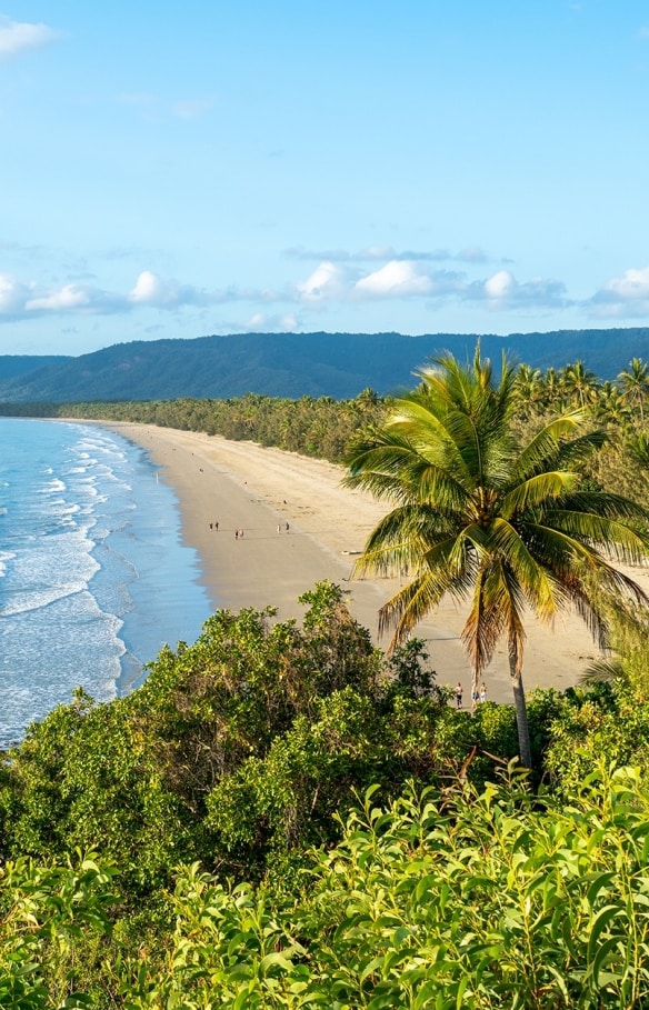 Aerial view of beach, Port Douglas, Queensland © Tourism Australia