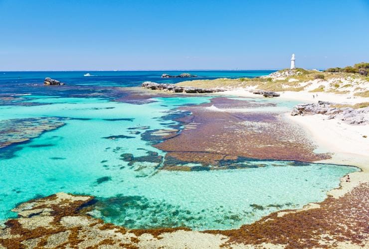 Đảo Rottnest, gần thành phố Perth, tiểu bang Tây Úc © Tourism Western Australia