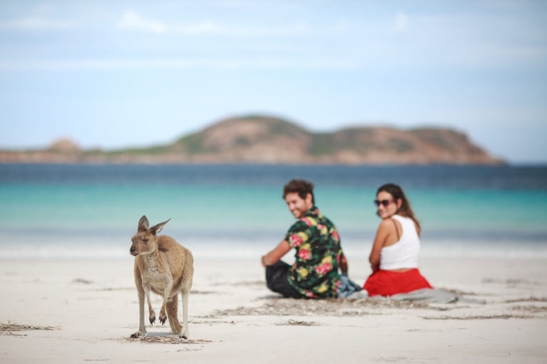 Một cặp đôi đang ngắm nhìn một chú kangaroo trên bãi biển ở Lucky Bay, Vườn quốc gia Cape Le Grand, Tây Úc © Tourism Australia