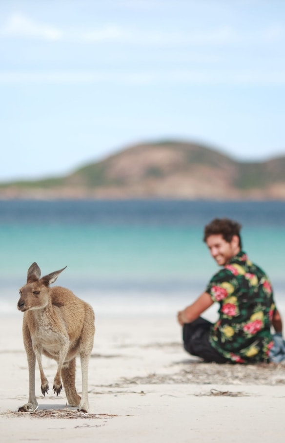 Một cặp đôi đang ngắm nhìn một chú kangaroo trên bãi biển ở Lucky Bay, Vườn quốc gia Cape Le Grand, Tây Úc © Tourism Australia