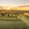 Centennial Vineyards, Bowral, Southern Highlands, NSW © Destination NSW