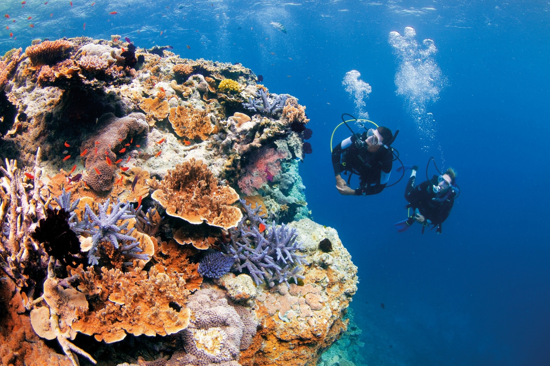 Pixies Garden, Great Barrier Reef, QLD © Tourism and Events Queensland