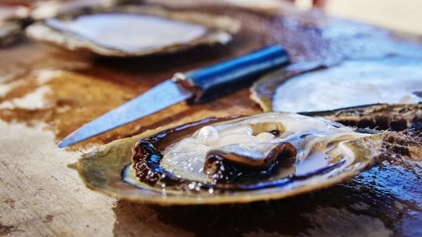 Cygnet Bay Pearl Farm, Dampier Peninsula, Tây Úc © Tourism Western Australia