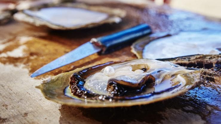 Cygnet Bay Pearl Farm, Dampier Peninsula, Tây Úc © Tourism Western Australia