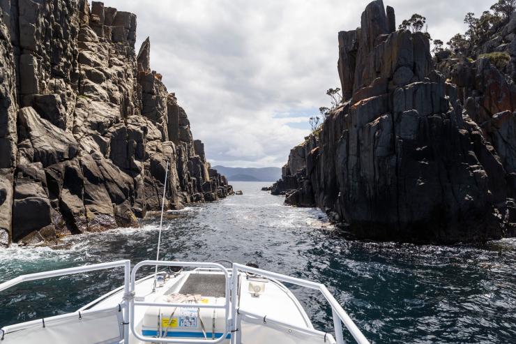 塔斯马尼亚州,玛莉亚岛,玛莉亚岛巡游公司 © 澳大利亚旅游局版权所有 塔斯马尼亚州,玛莉亚岛,玛莉亚岛巡游公司 © 澳大利亚旅游局版权所有