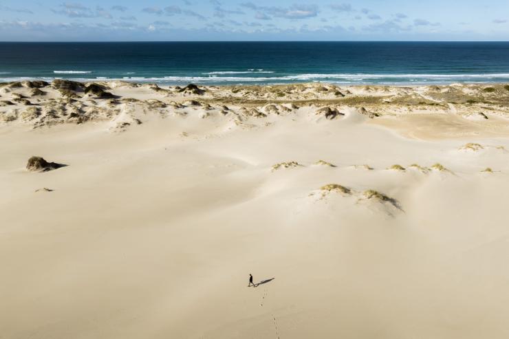 塔斯马尼亚州,东海岸,庇隆沙丘 © Jason Charles Hill 版权所有 塔斯马尼亚州,东海岸,庇隆沙丘 © Jason Charles Hill 版权所有