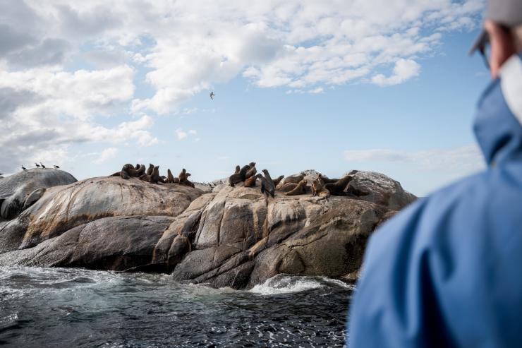 塔斯马尼亚州,火焰湾,火焰湾生态之旅 © 澳大利亚旅游局版权所有 塔斯马尼亚州,火焰湾,火焰湾生态之旅 © 澳大利亚旅游局版权所有