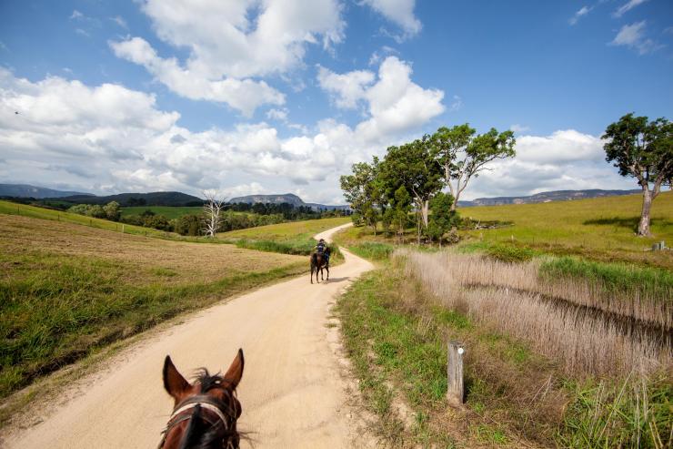 新南威尔士州,蓝山,米格朗谷 © Georgia Rickard 版权所有 新南威尔士州,蓝山,米格朗谷 © Georgia Rickard 版权所有