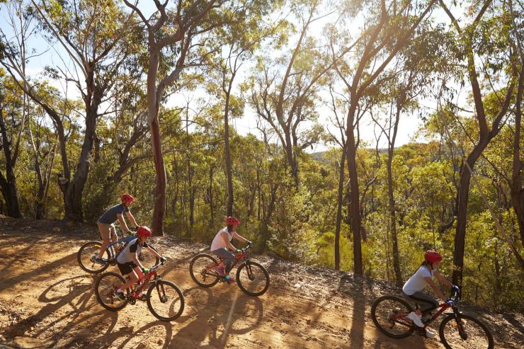 新南威尔士州,蓝山 © 新南威尔士州旅游局版权所有 新南威尔士州,蓝山 © 新南威尔士州旅游局版权所有