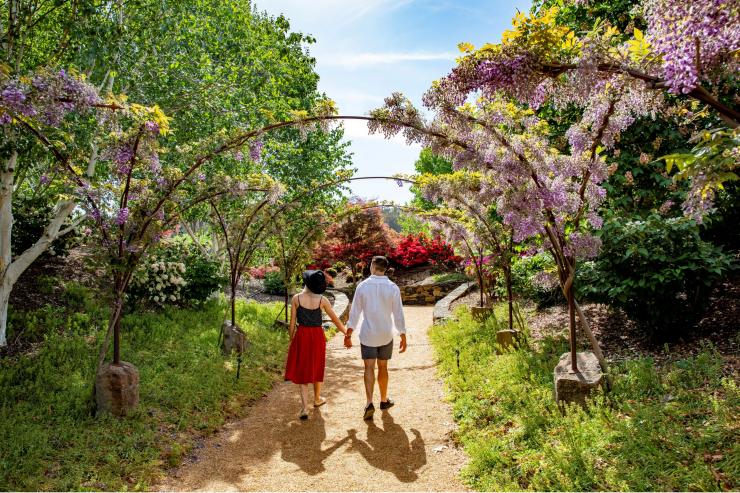 新南威尔士州,奥伯伦,梅菲尔德花园 © 新南威尔士州旅游局版权所有 新南威尔士州,奥伯伦,梅菲尔德花园 © 新南威尔士州旅游局版权所有