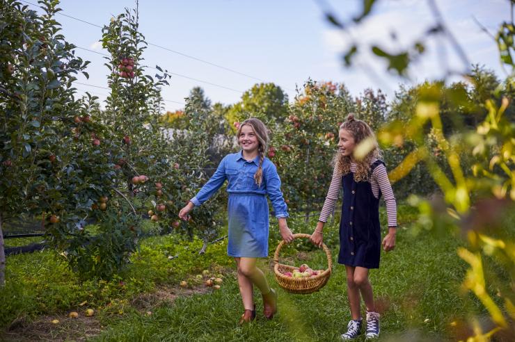 新南威尔士州,贝尔平,希尔兹果园 © 新南威尔士州旅游局版权所有 新南威尔士州,贝尔平,希尔兹果园 © 新南威尔士州旅游局版权所有
