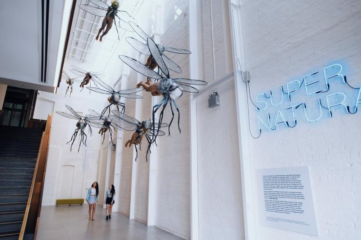 新南威尔士州,齐本德尔,两名游客游览白兔美术馆时,仰望着天花板上垂吊的长着人腿的昆虫雕塑 © 新南威尔士州旅游局版权所有 新南威尔士州,齐本德尔,两名游客游览白兔美术馆时,仰望着天花板上垂吊的长着人腿的昆虫雕塑 © 新南威尔士州旅游局版权所有