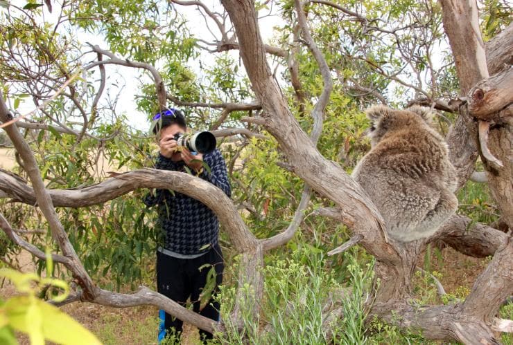 南澳州艾爾半島（Eyre Peninsula）林肯港（Port Lincoln）Australian Coastal Safaris©Australian Coastal Safaris