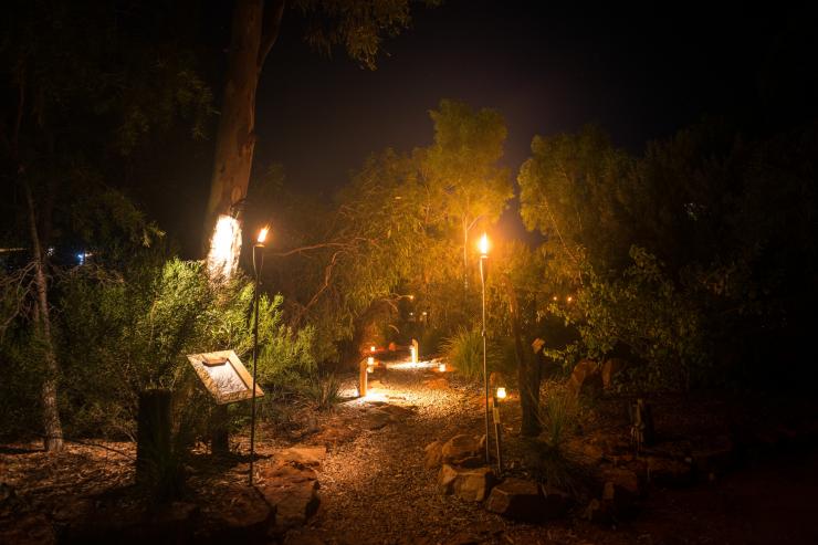 北領地帝王谷的帝王谷度假村沙漠月光饗宴©北領地旅遊局,Matt Glastonbury 北領地帝王谷的帝王谷度假村沙漠月光饗宴©北領地旅遊局,Matt Glastonbury