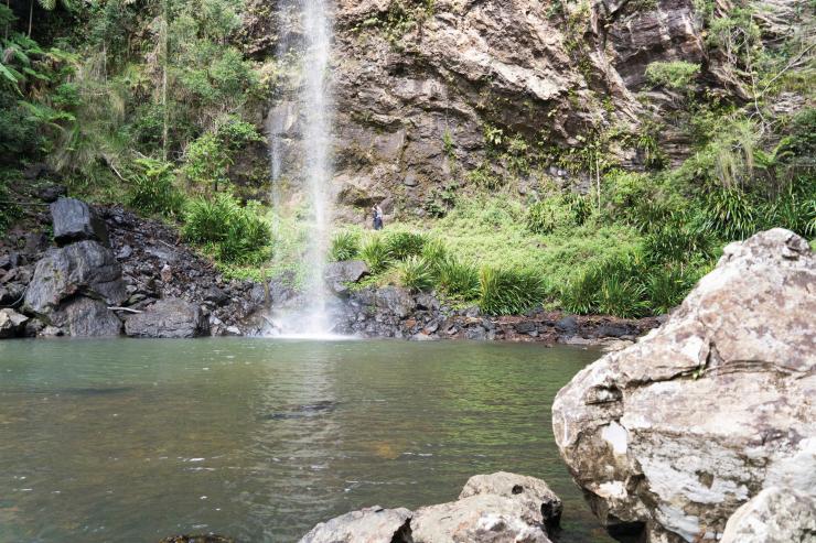 昆士蘭，斯普林布魯克國家公園，雙子瀑布©Michael Taylor-Thomas