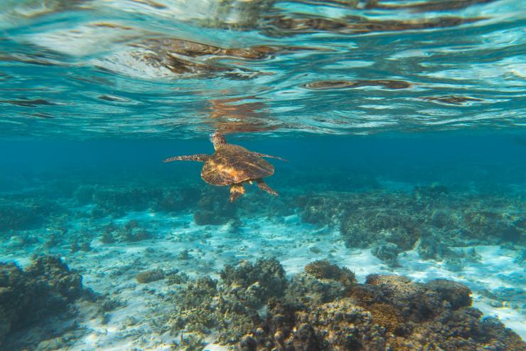 昆士蘭班達伯格伊利特女士島©昆士蘭旅遊及活動推廣局