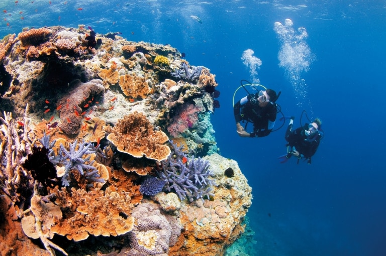 昆士蘭大堡礁的皮克斯花園© 昆士蘭旅遊及活動推廣局