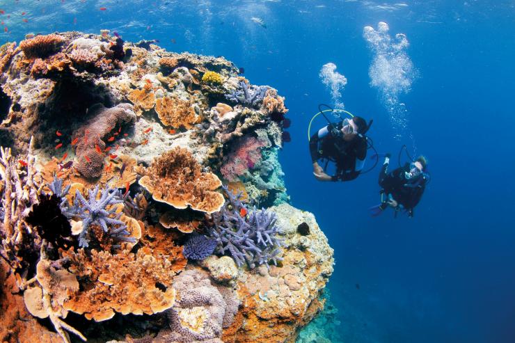 昆士蘭大堡礁的皮克斯花園©昆士蘭旅遊及活動推廣局