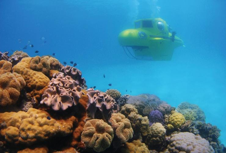 昆士蘭大堡礁的大堡礁潛艇© 昆士蘭旅遊及活動推廣局