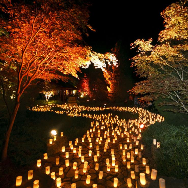 坎培拉倫諾克斯花園的蠟燭©坎培拉旅遊局