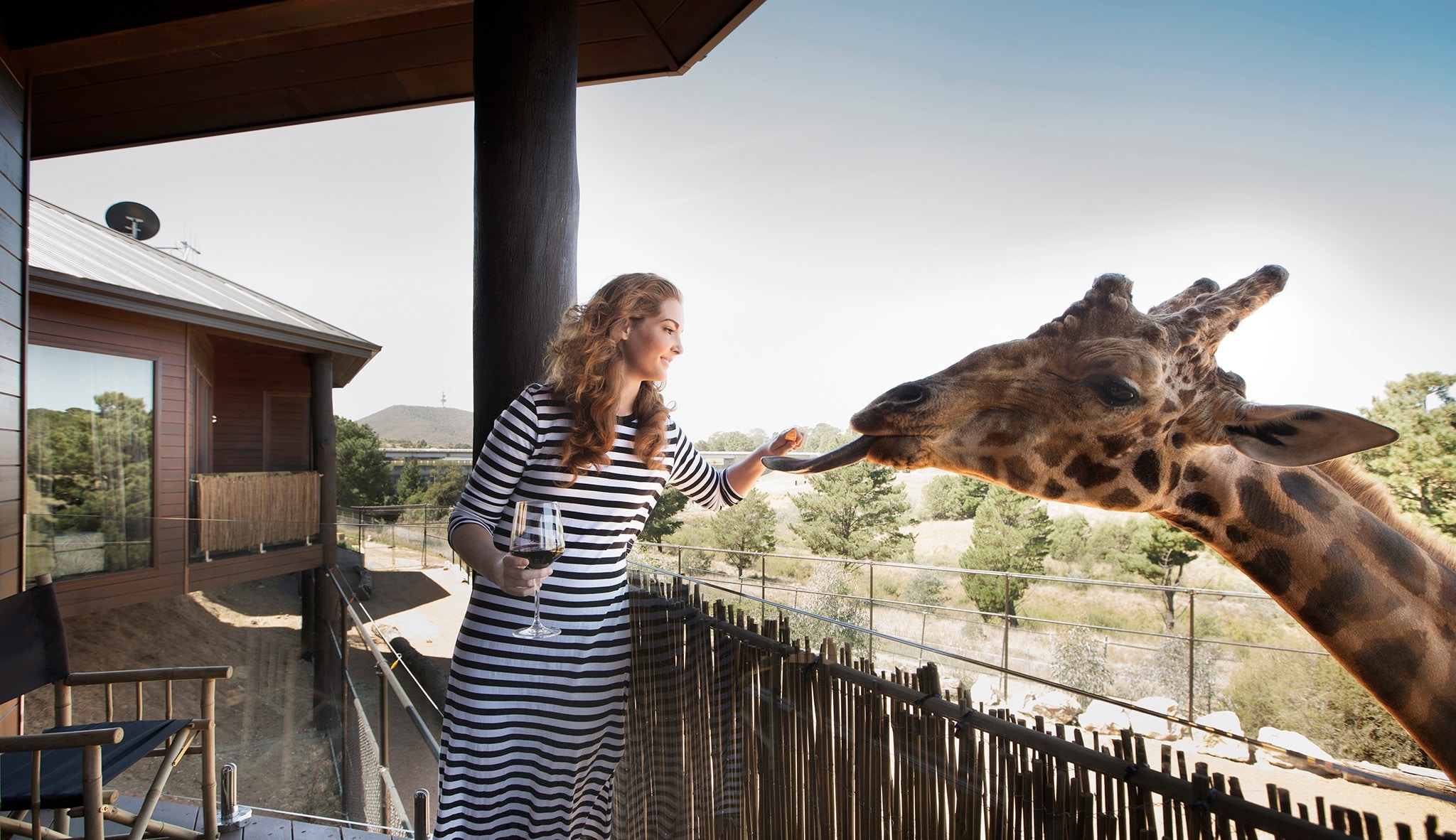 澳洲首都領地坎培拉的Jamala Wildlife Lodge©坎培拉旅遊局