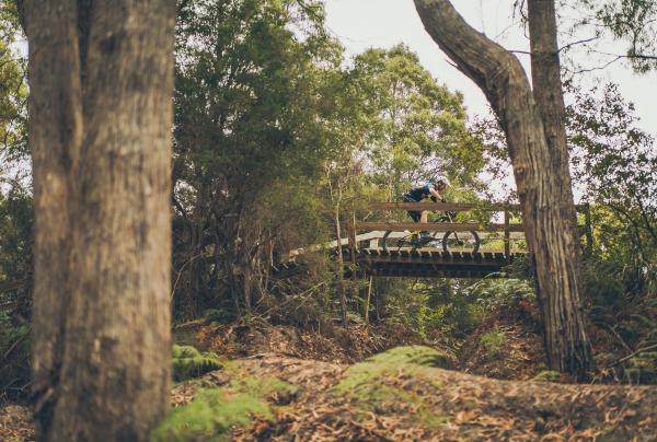 塔斯曼尼亞企鵝鎮的企鵝鎮登山車公園©Flow Mountain Bike