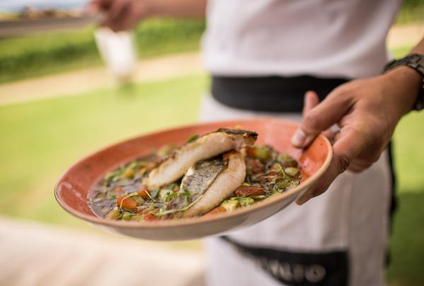  維多利亞紅丘陵南部的蒙特鎮葡萄園及橄欖園©蒙特鎮葡萄園及橄欖園