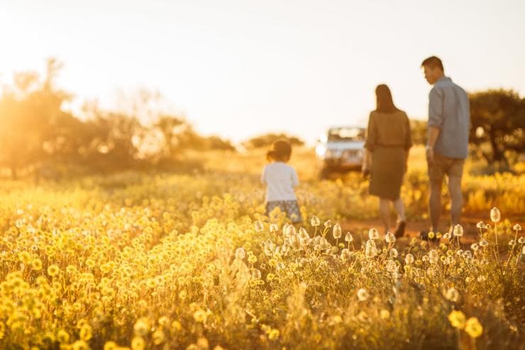  西澳州珊瑚海岸的野花©西澳州旅遊局