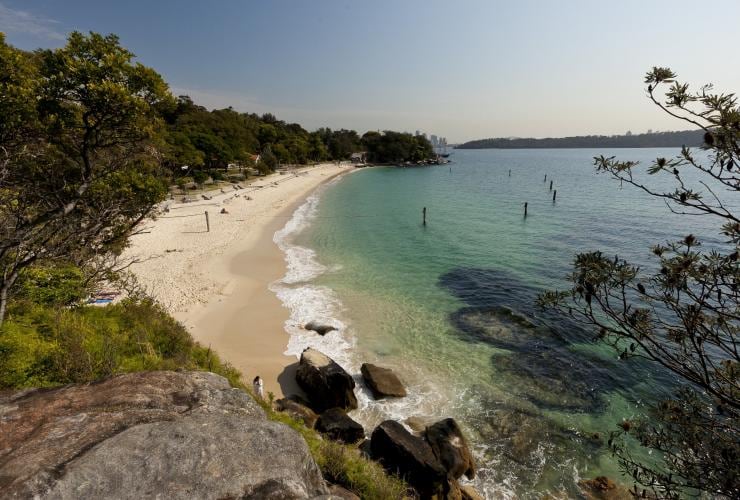 悉尼尼新園公園的鯊魚灘（Shark Beach）©新南威爾士州旅遊局Andrew Gregory