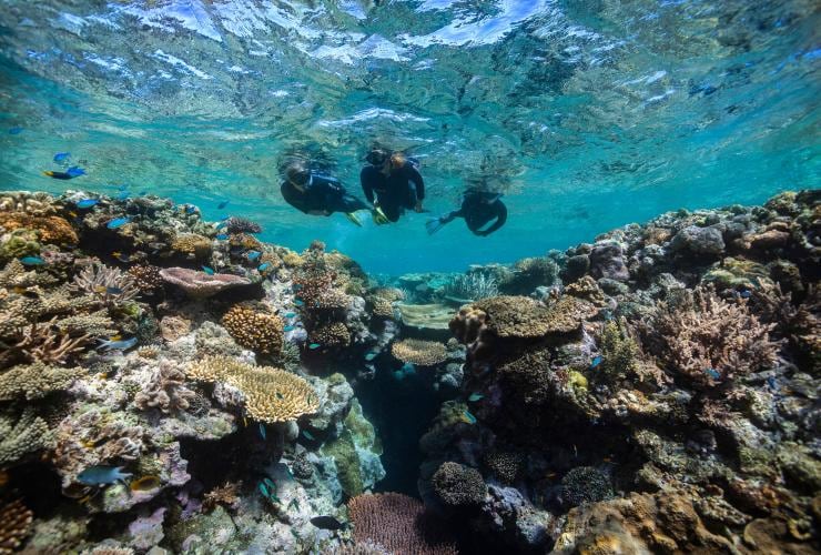 昆士蘭州大堡礁聖靈群島Sinker Reef©昆士蘭旅遊及活動推廣局