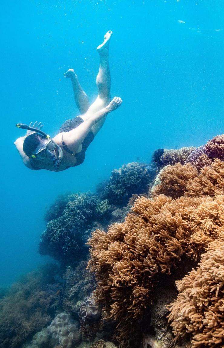 昆士蘭州大堡礁心形礁©澳洲旅遊局