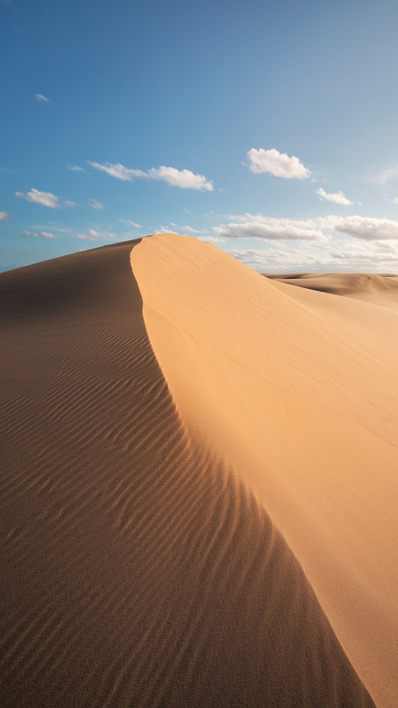 史蒂芬斯港（Port Stephens）附近的斯托克頓沙丘（Stockton Sand Dunes）上的沙丘©新南威爾士州旅遊局