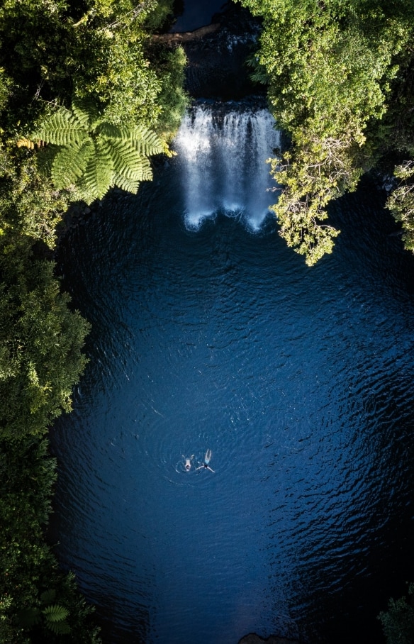 昆士蘭州（Queensland）米拉米拉（Millaa Millaa）的米拉米拉瀑布（Millaa Millaa Falls）©昆士蘭旅遊及活動推廣局