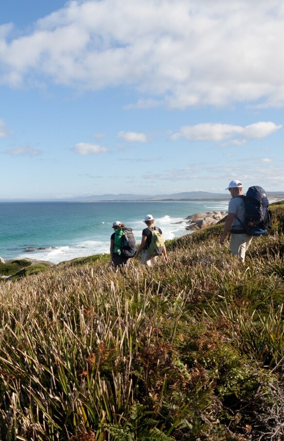 塔斯曼尼亞的火焰灣©Tasmania Walking Company