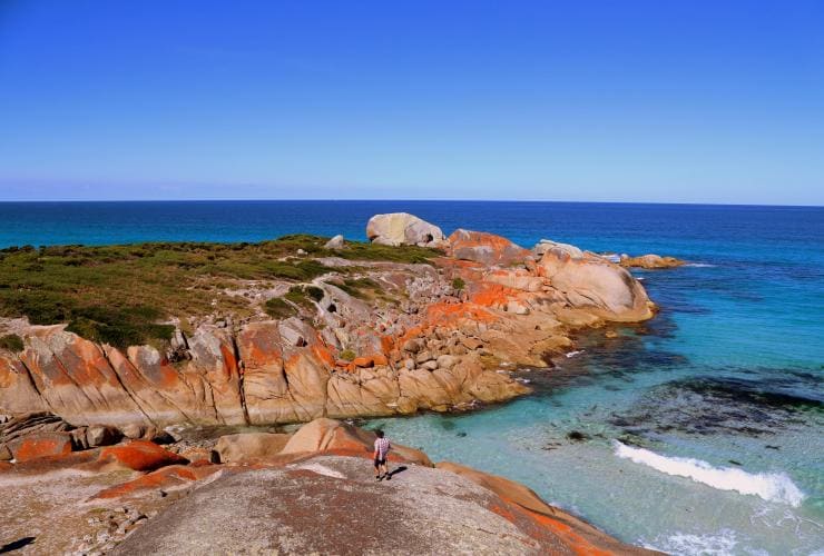 塔斯曼尼亞（TAS）東海岸（East Coast）火焰灣（Bay of Fires）©澳洲精彩徒步之旅（Great Walks of Australia）