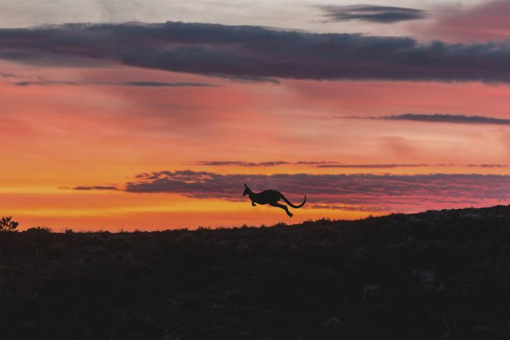 南澳州費蓮達山脈國家公園的阿卡巴©南澳州旅遊局