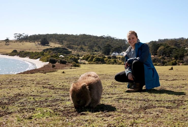 參加瑪利亞島徒步之旅的健行者蹲身在袋熊旁©澳洲旅遊局