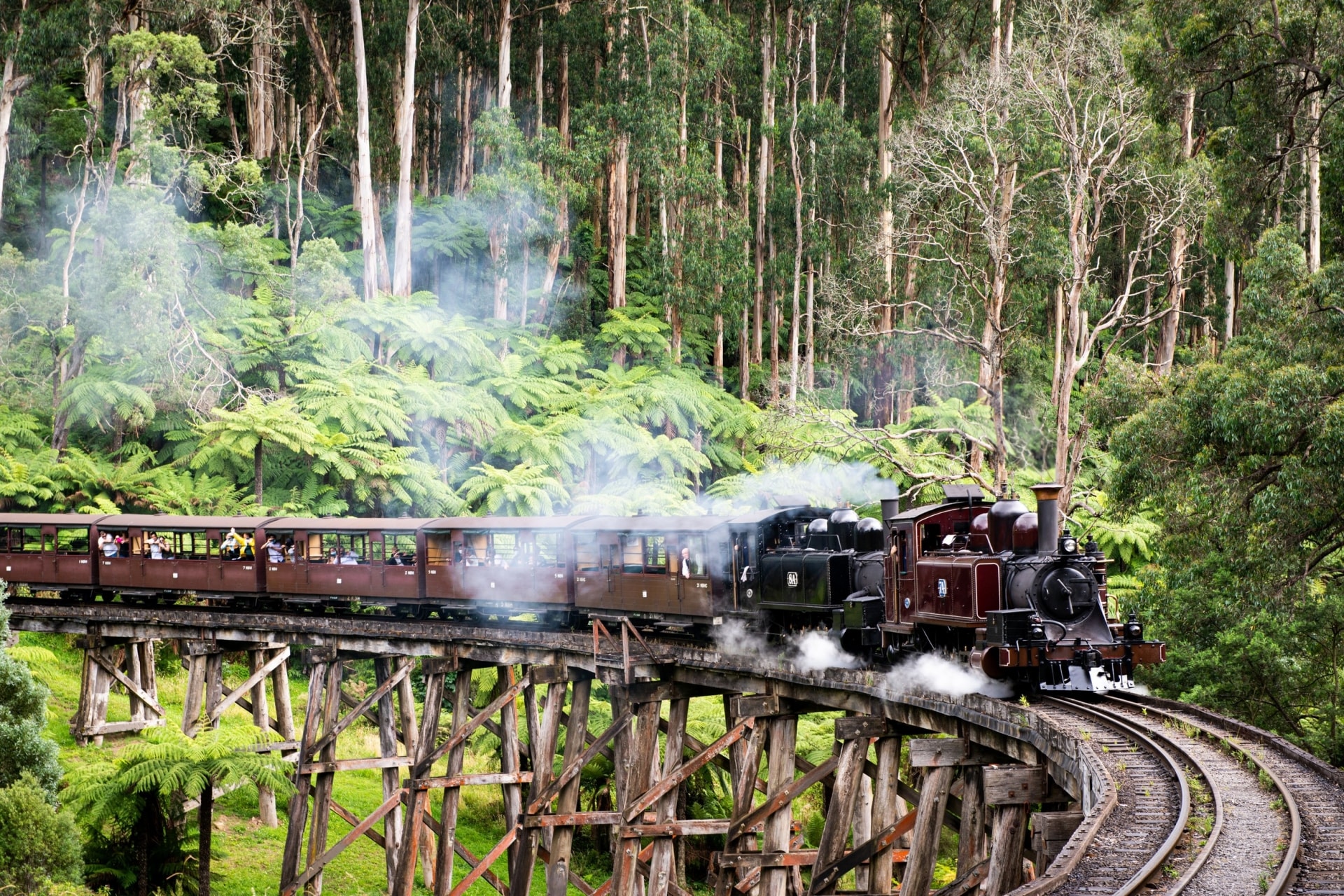 Puffing Billy, VIC © Tourism Australia