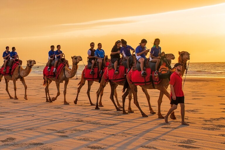Camels at sunset on Cable Beach, Broome ©Tourism Western Australia