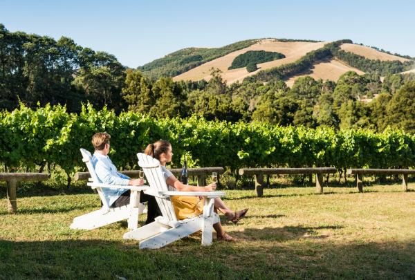 葡萄園戶外品酒