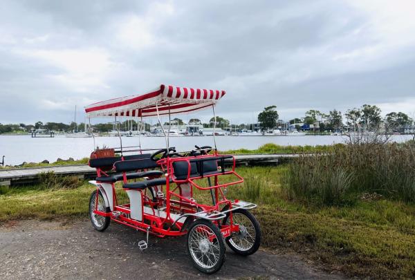 Ride the Koalas 特色單車