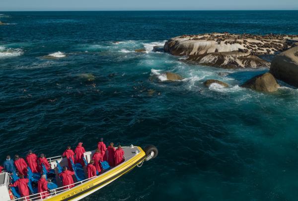 Pennicott Wilderness Journeys花費八年時間製造為全球第一艘特製兩棲船，兩棲船直接從沙灘駛入水中。可容納 30 位客人。