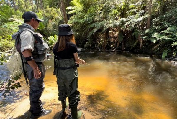 Toorongo River 飛蠅釣魚