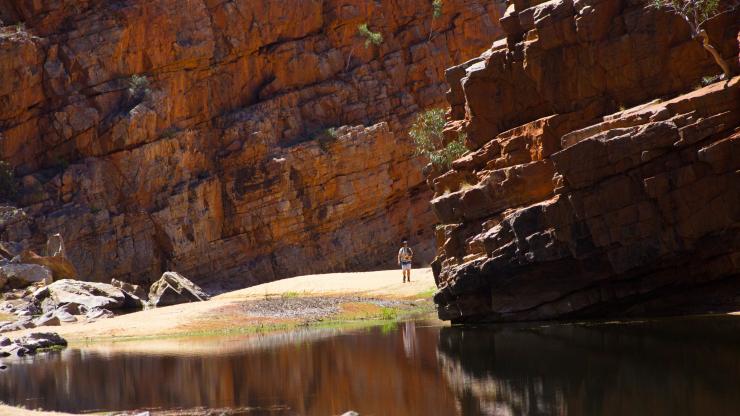 北領地西麥克唐奈爾山脈奧米斯頓峽谷，由World Expeditions經營的拉勒平塔步行徑（Larapinta Trail）©World Expeditions/澳洲精彩徒步之旅