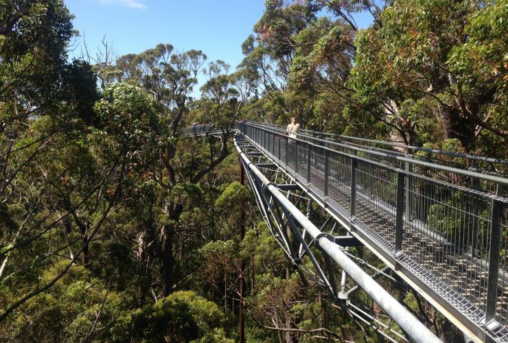 西澳州沃爾波爾-諾納拉普國家公園的巨人谷樹頂步道©澳洲旅遊局