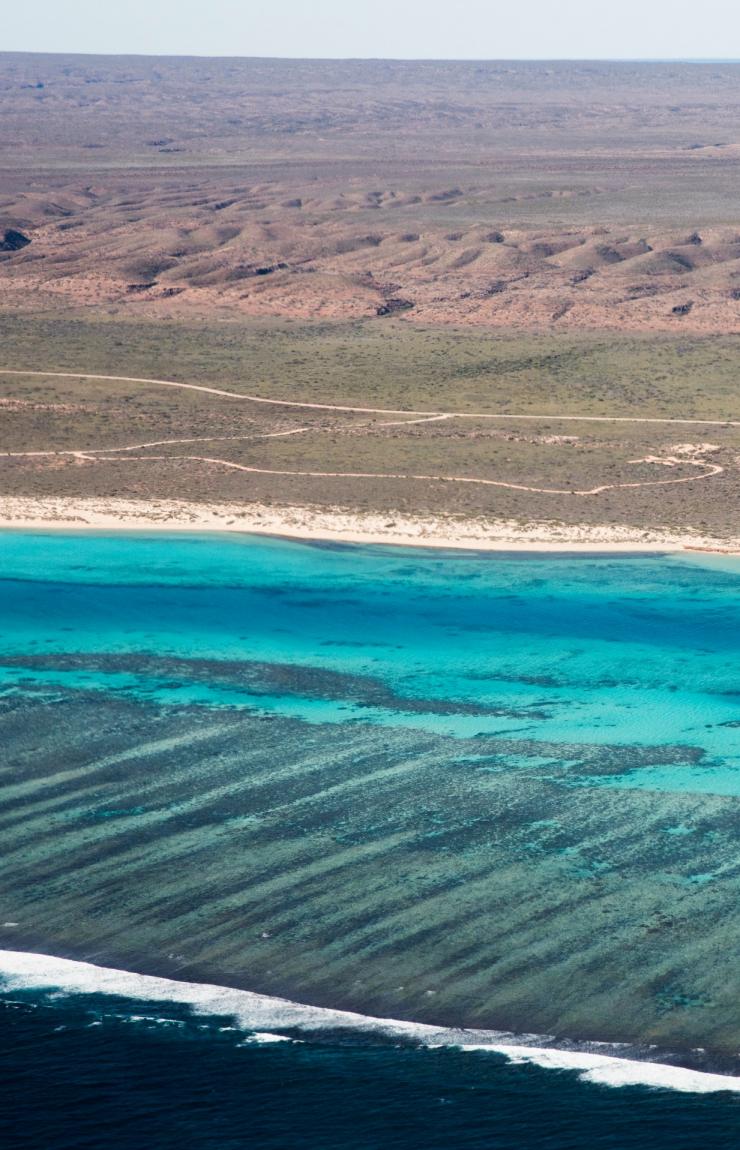 西澳州寧格魯珊瑚礁©西澳州旅遊局