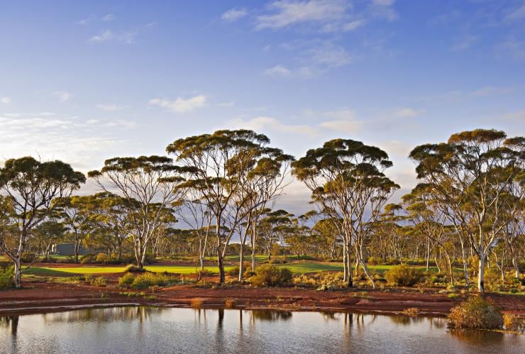 西澳州卡爾古利的卡爾古利高爾夫球場©西澳州旅遊局