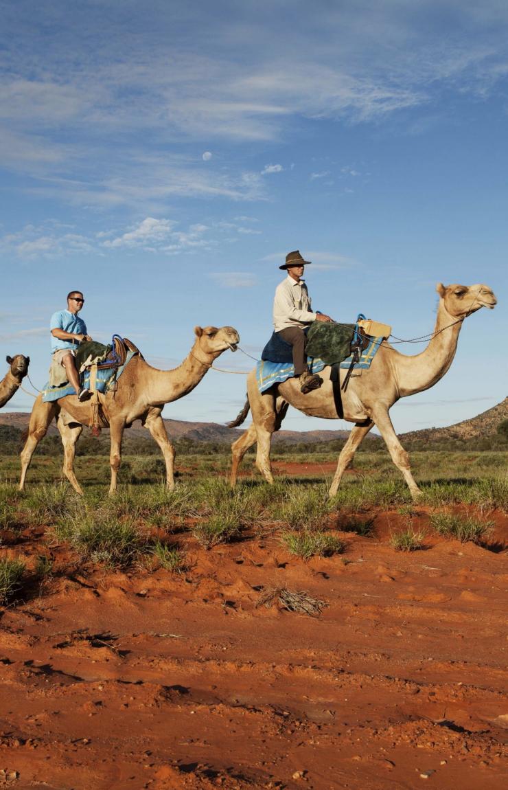 北領地（NT）紅土中心（Red Centre）的騎駱駝之旅©北領地旅遊局