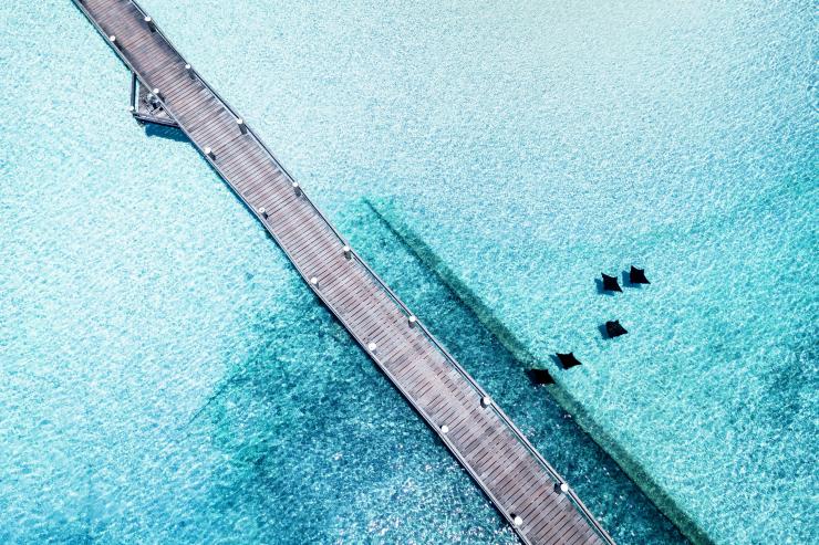 昆士蘭州海龍島棧橋俯瞰圖©James Vodicka